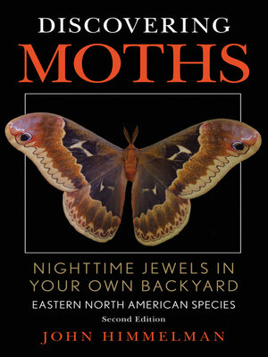 cover image of Discovering Moths